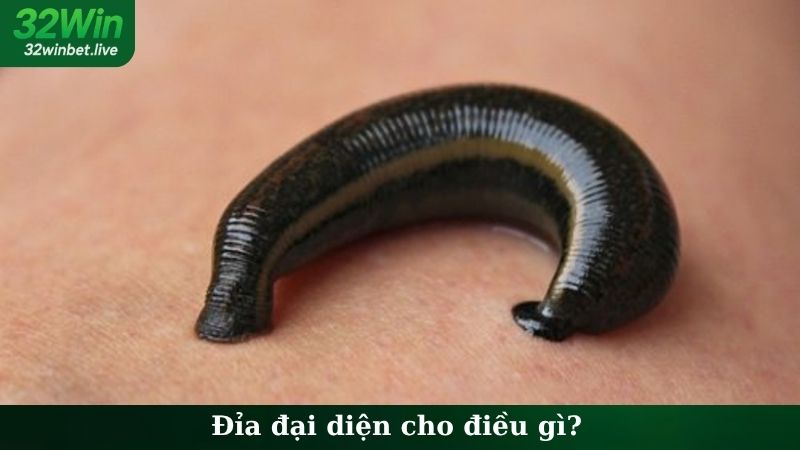 Đỉa đại diện cho điều gì?