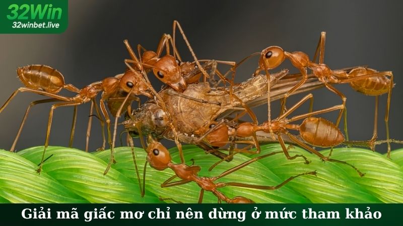 Giải mã giấc mơ chỉ nên dừng ở mức tham khảo