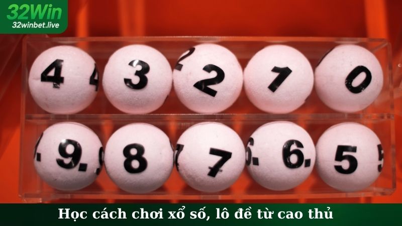 Học cách chơi xổ số, lô đề từ cao thủ