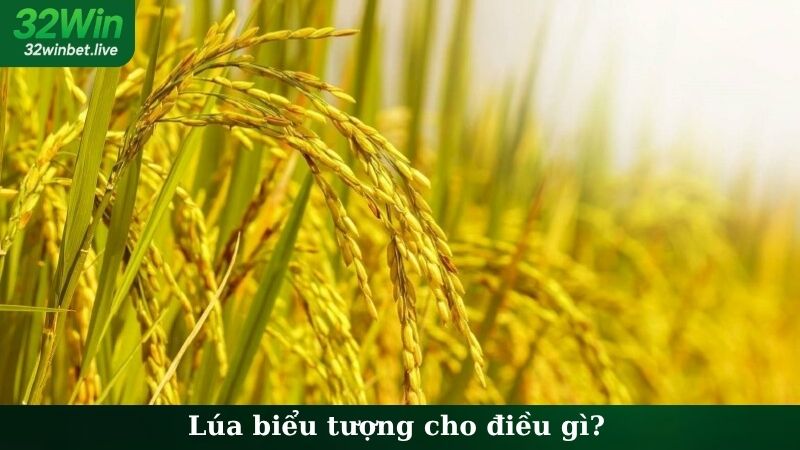 Lúa biểu tượng cho điều gì?