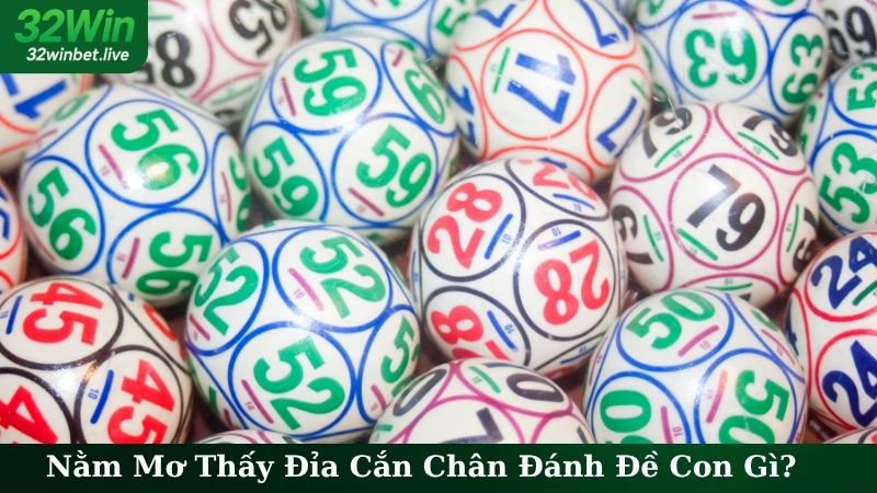 Nằm Mơ Thấy Đỉa Cắn Chân Đánh Đề Con Gì