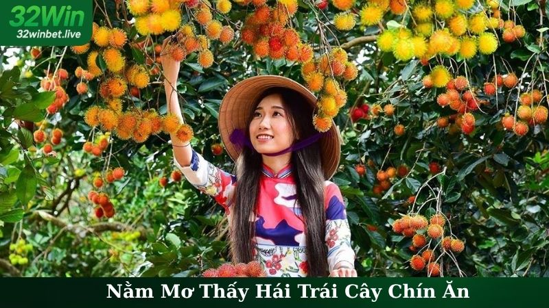 Nằm Mơ Thấy Hái Trái Cây Chín Ăn