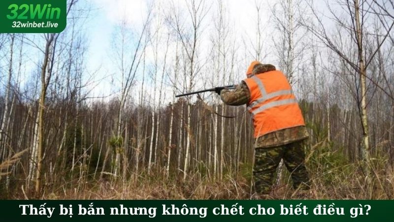 Thấy ị bắn nhưng không chết cho biết điều gì
