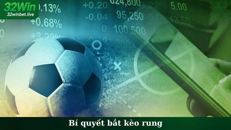 Bí Quyết Bắt Kèo Rung
